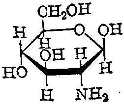 胺的结构简式图片
